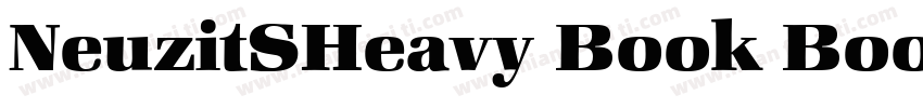 NeuzitSHeavy Book Book字体转换